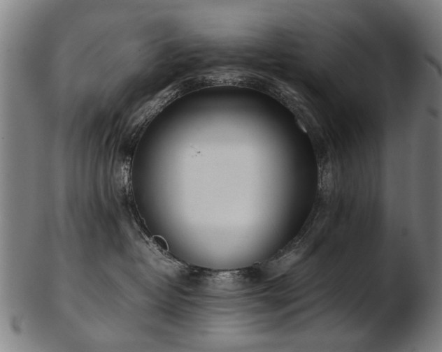 X0000103430382200809121335