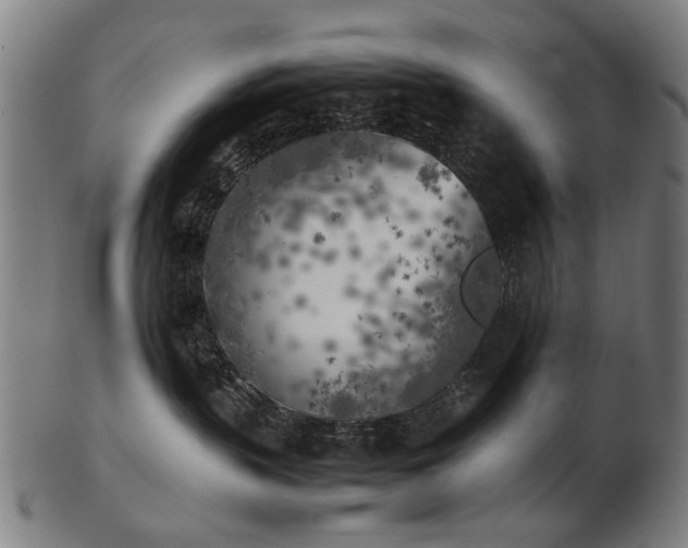 X0000103430383200809121335