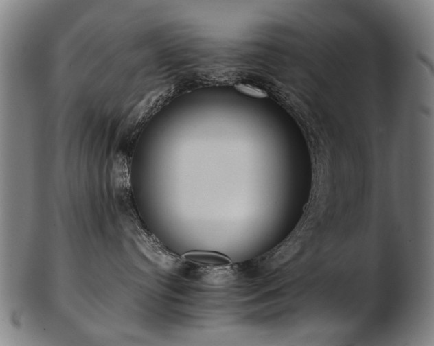 X0000103430384200809121335