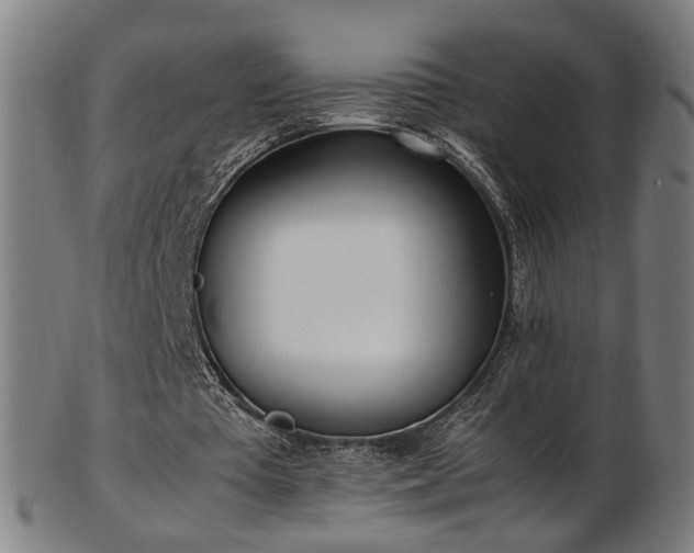 X0000103430385200809121334