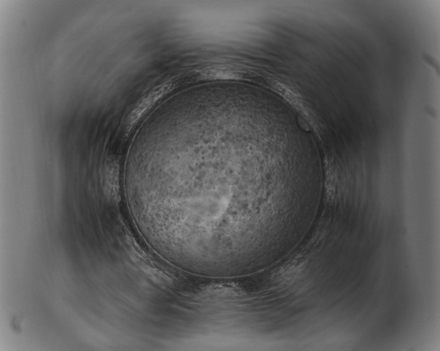 X0000103430386200809121334