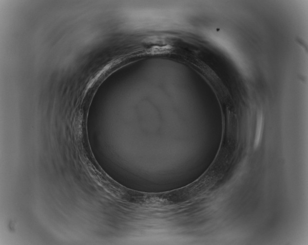 X0000103430387200809121334