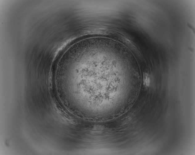 X0000103430388200809121334