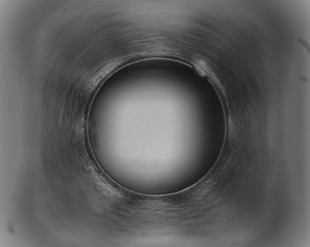 X0000103430389200809121334