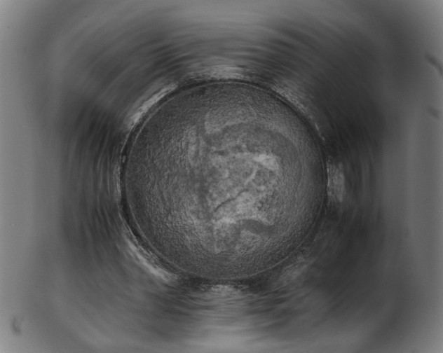X0000103430390200809121334