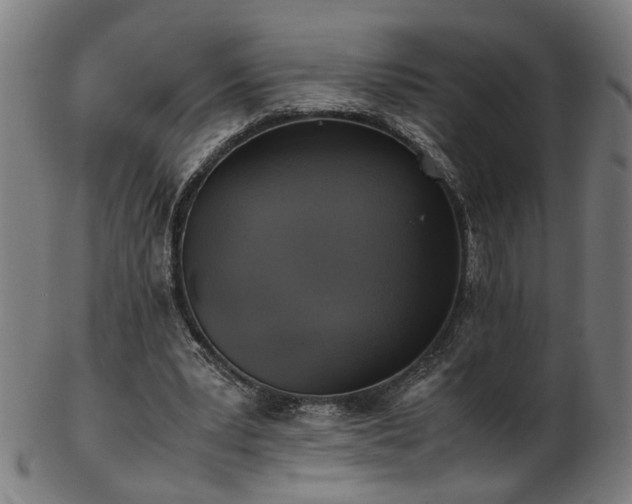 X0000103430391200809121334