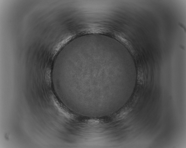 X0000103430394200809121334