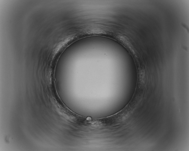 X0000103430395200809121334