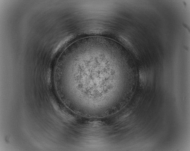 X0000103430396200809121334