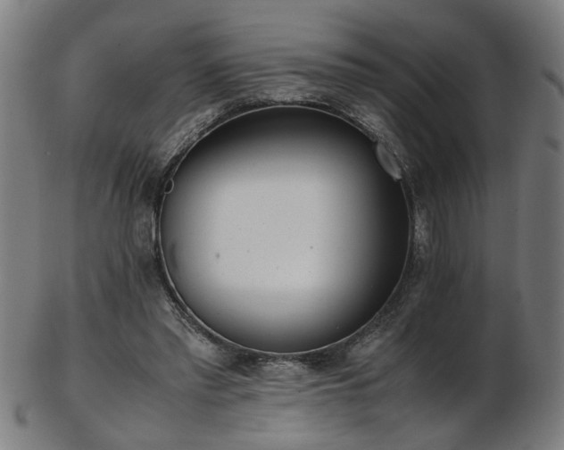X0000103430397200809121334