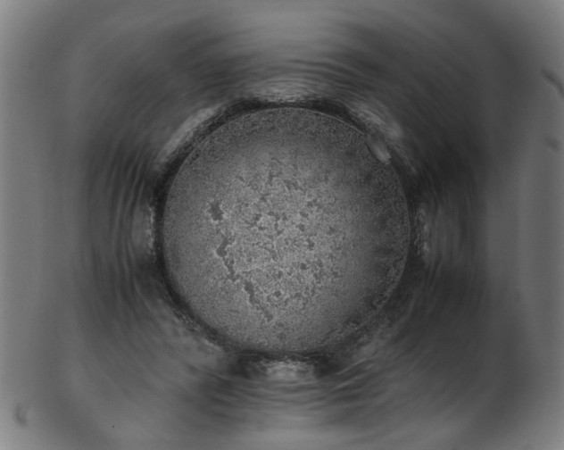 X0000103430400200809121334