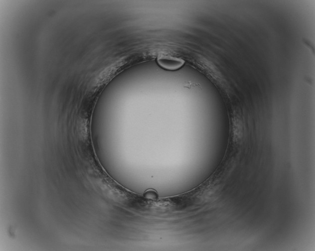 X0000103430401200809121334