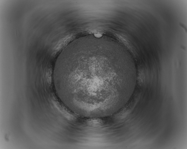 X0000103430402200809121334