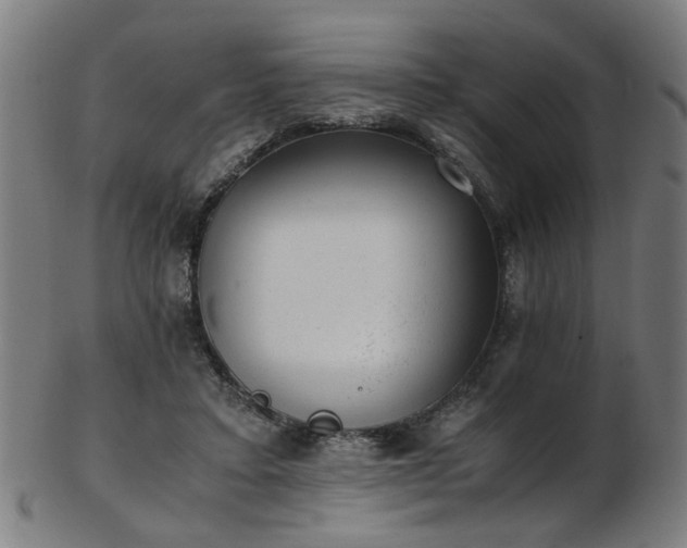 X0000103430403200809121334