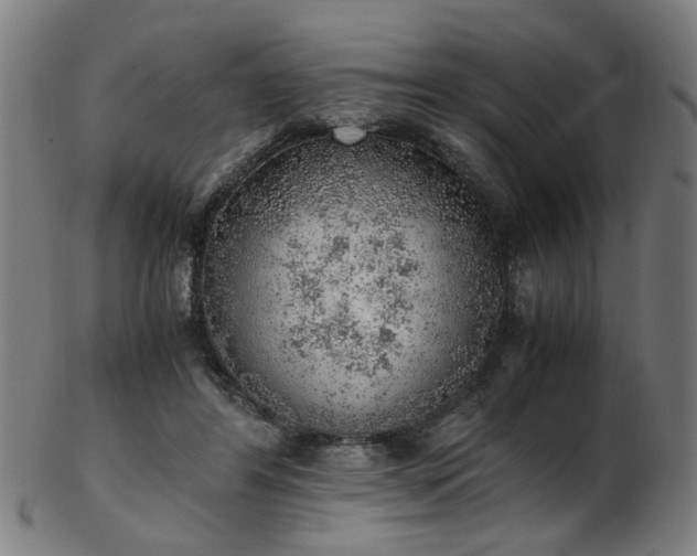 X0000103430404200809121334
