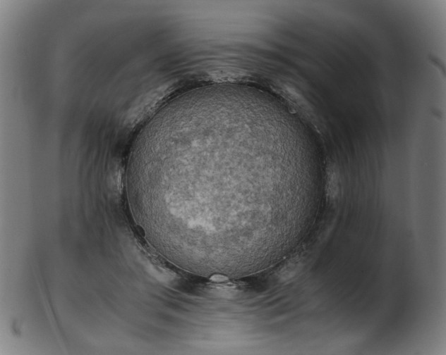 X0000103430405200809121334