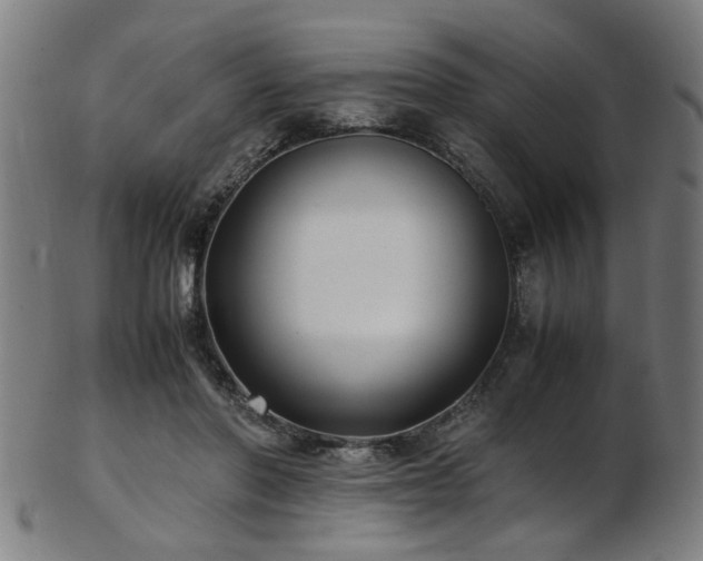 X0000103430406200809121334