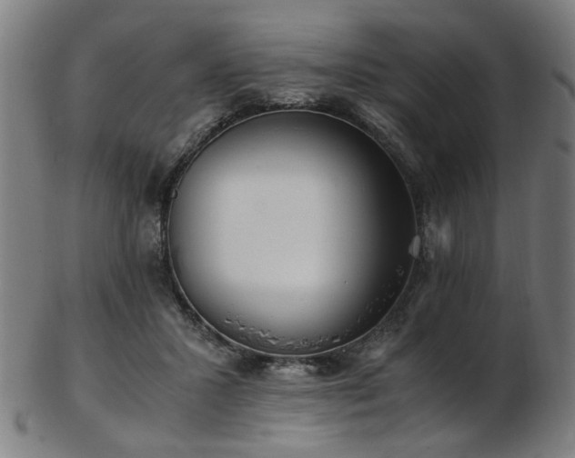 X0000103430407200809121334