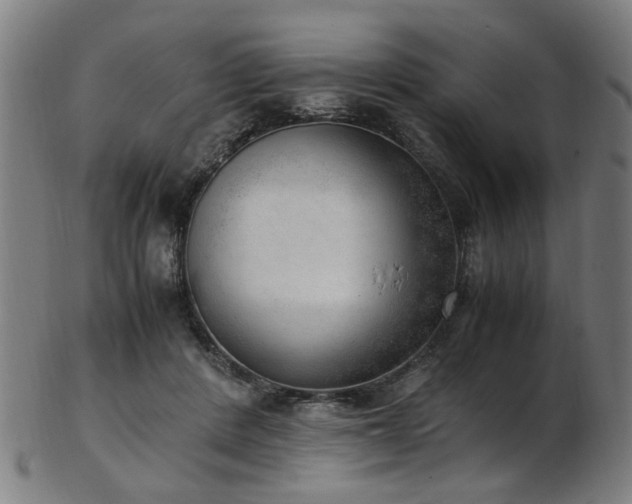 X0000103430408200809121334
