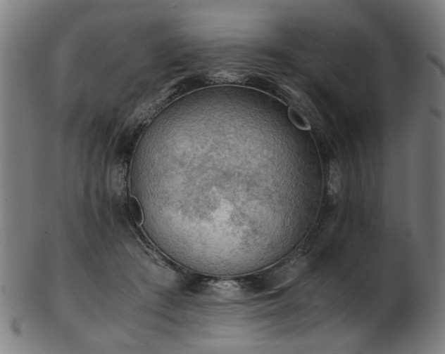 X0000103430409200809121334