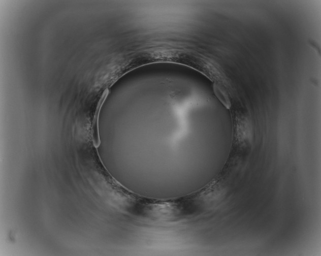 X0000103430411200809121334