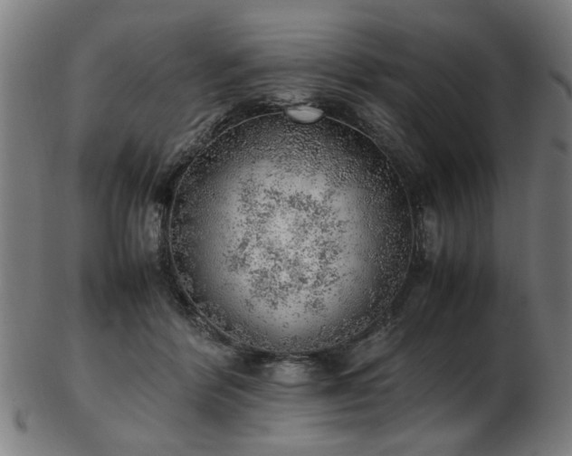 X0000103430412200809121334