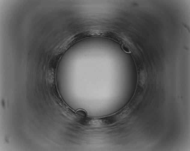 X0000103430413200809121334