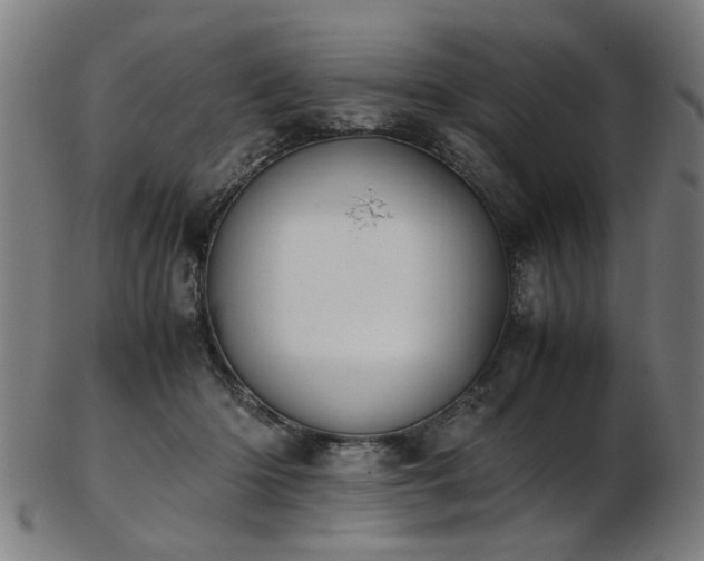 X0000103430414200809121334