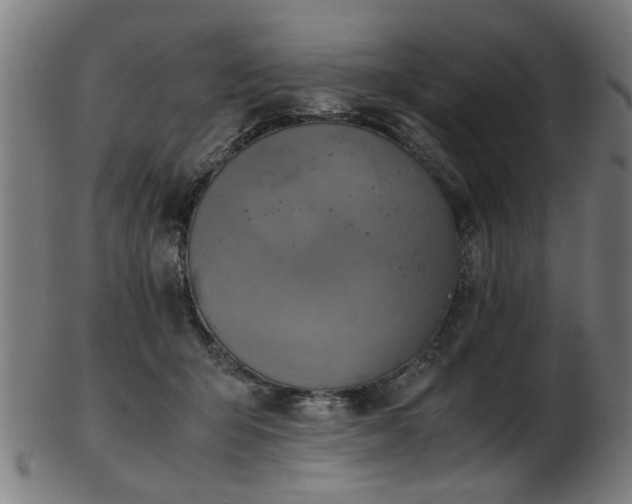 X0000103430415200809121334