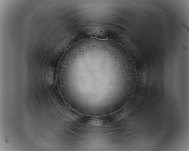 X0000103430416200809121334