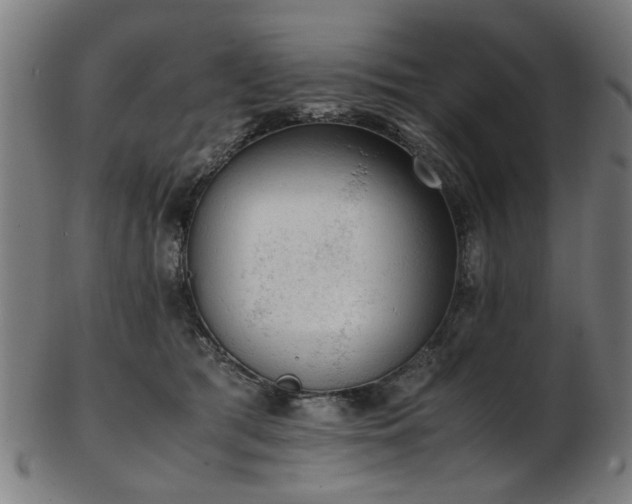 X0000103430417200809121334