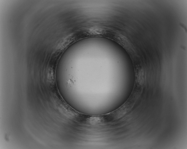 X0000103430418200809121334