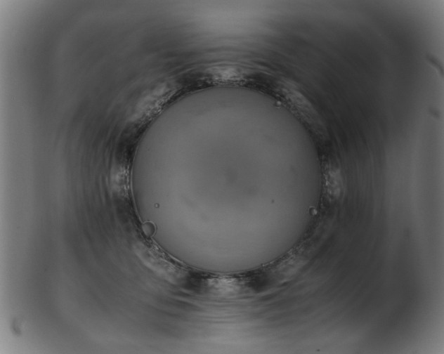 X0000103430419200809121334