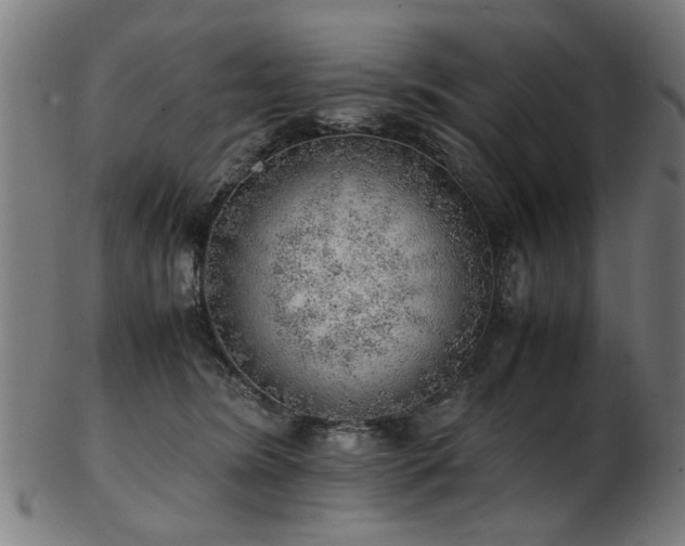 X0000103430420200809121334