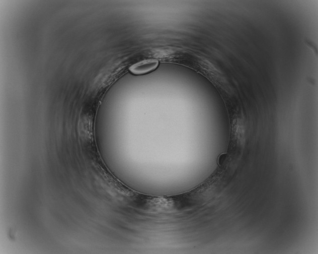 X0000103430421200809121334