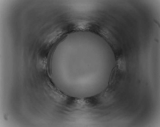 X0000103430423200809121334