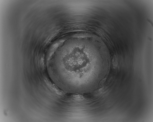 X0000103430424200809121334