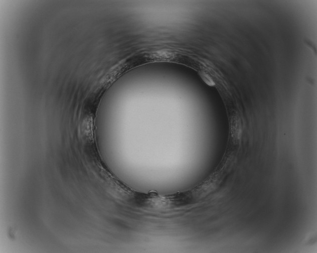 X0000103430425200809121334