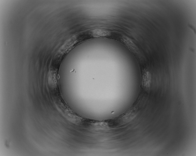 X0000103430426200809121334