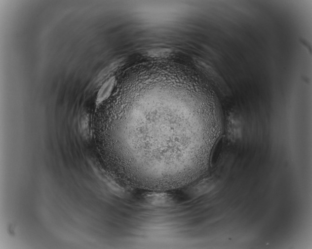 X0000103430428200809121334