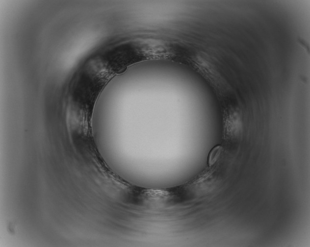 X0000103430429200809121334