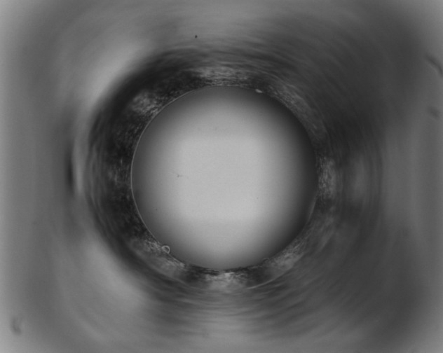 X0000103430430200809121334