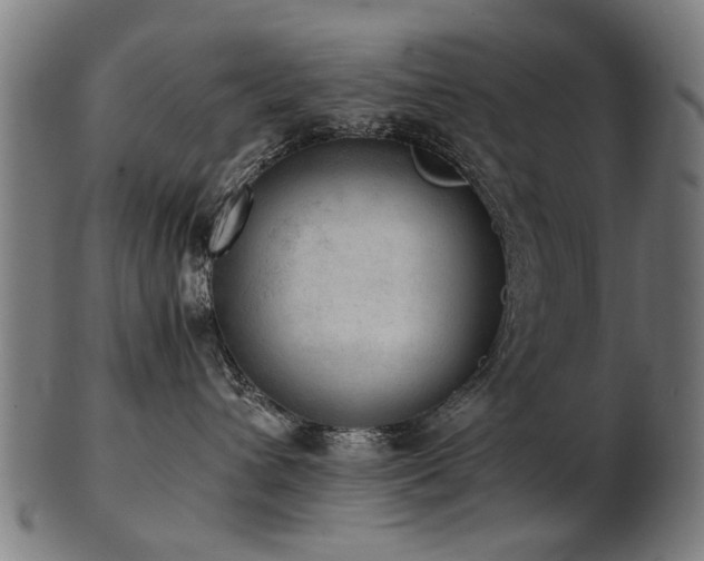 X0000103430432200809121334