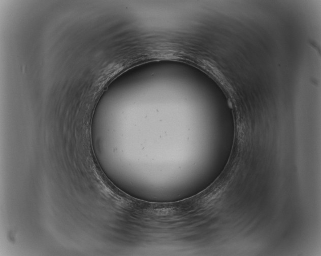 X0000103430433200809121333