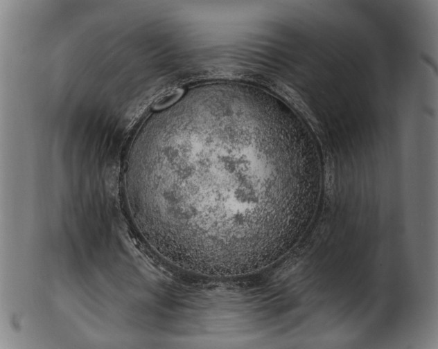 X0000103430434200809121333