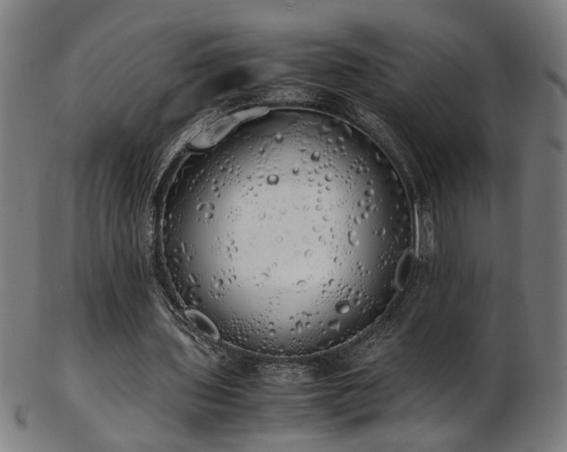 X0000103430435200809121333