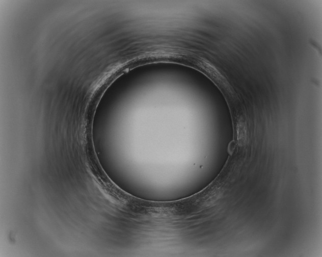 X0000103430436200809121333