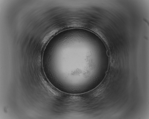 X0000103430437200809121333
