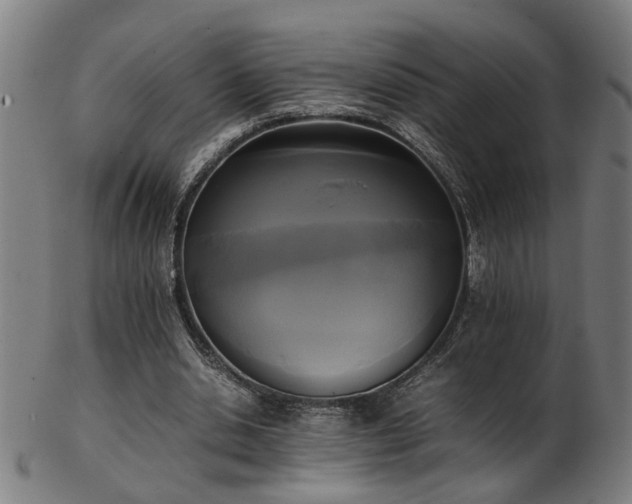 X0000103430438200809121333