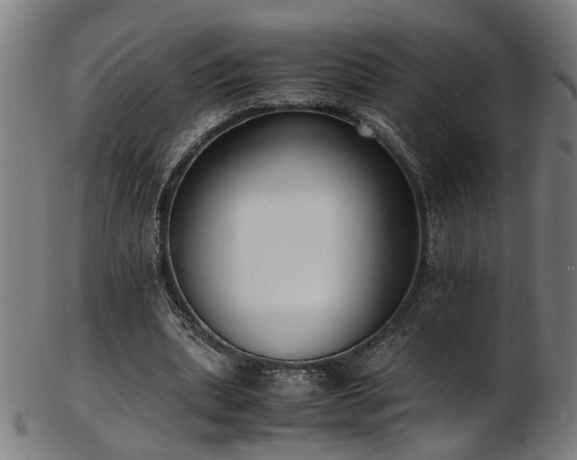 X0000103430439200809121333